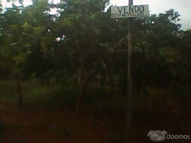 Regalo Hermoso terreno en Caacupemi — foto 2