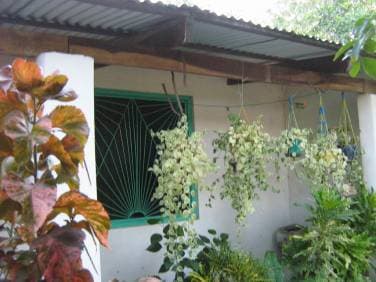 Comprar Casa Areguá Villa Maria Auxiliadora — foto 2