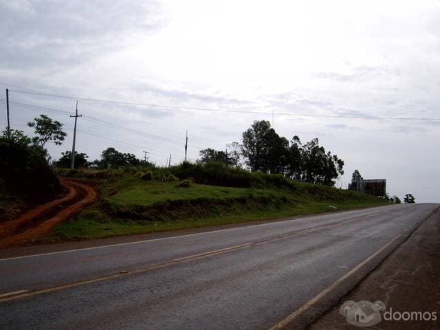 10 Has Sobre Ruta Internacional — foto 4