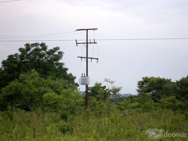10 Has Sobre Ruta Internacional — foto 5