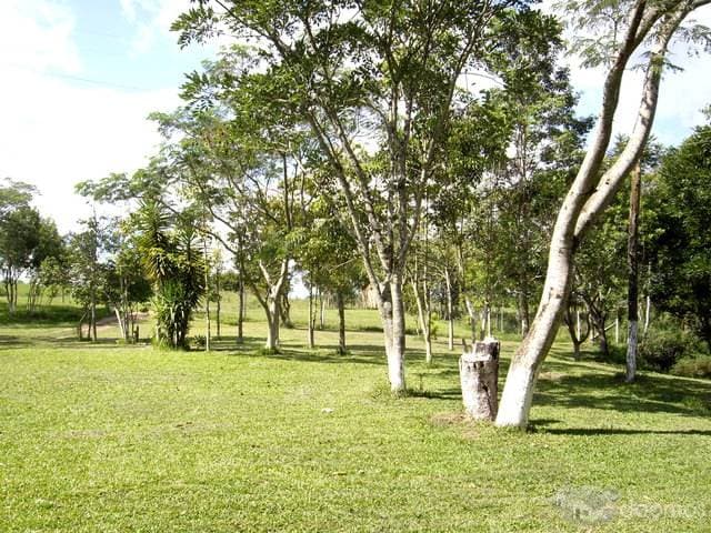 10 Has Sobre Ruta Internacional — foto 6