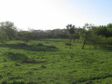 Comprar Terreno Luque Compañia Tarymandy — foto 1
