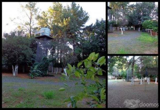 REMATO CASA QUINTA EN LA CIUDAD DE LUQUE — foto 4