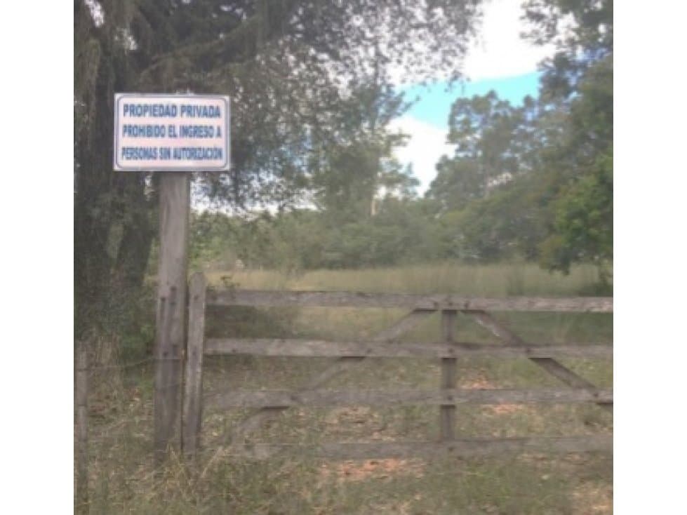 VENDO PROPIEDAD EN LUQUE - TARUMANDY — foto 4