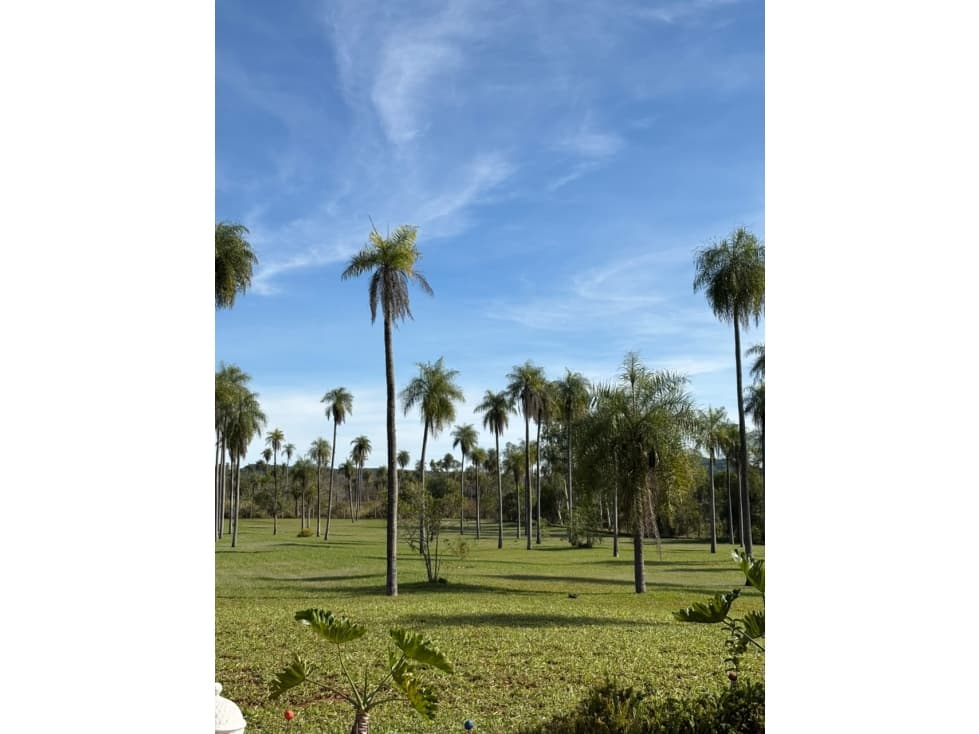 En venta propiedades con 4 hectareas en Piribebuy — foto 3