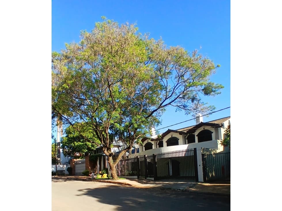 ALQUILO IMPORTANTE CASA DE 5 DORMITORIOS BARRIO MANORA — foto 1