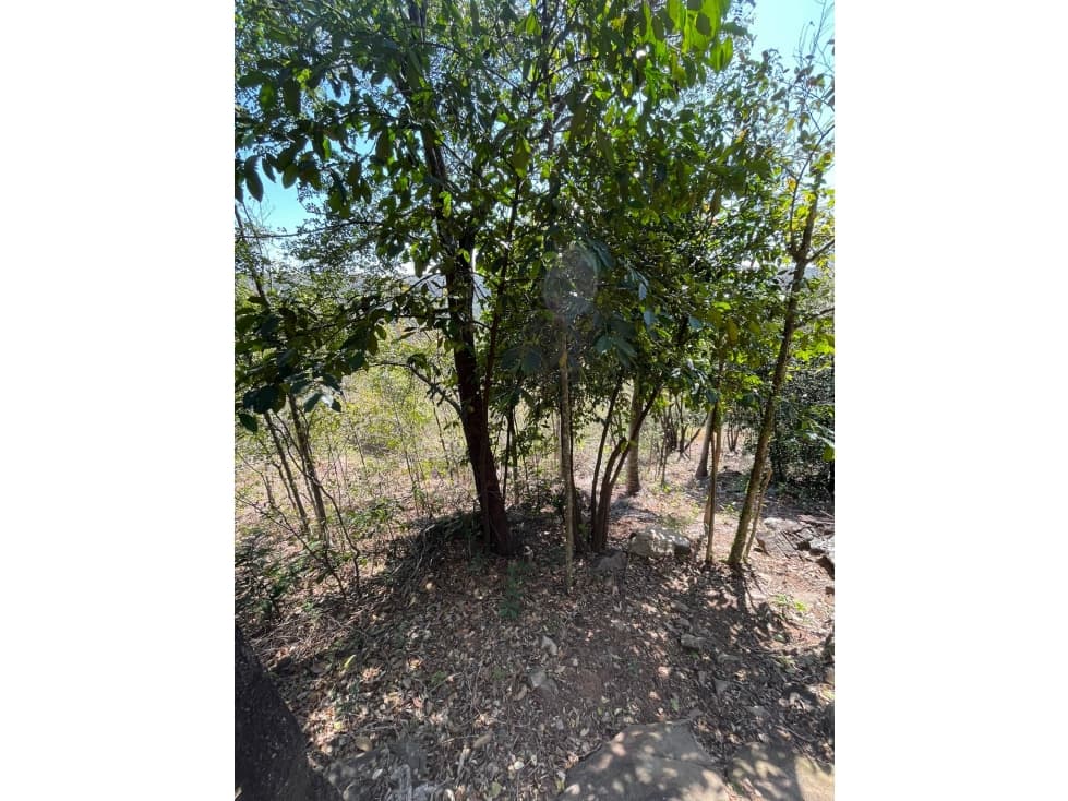 7 hectareas en Sanber - Propiedad con cerro — foto 6